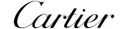 Qwincy_Expert_Finance_Site_Homepage_Cartier